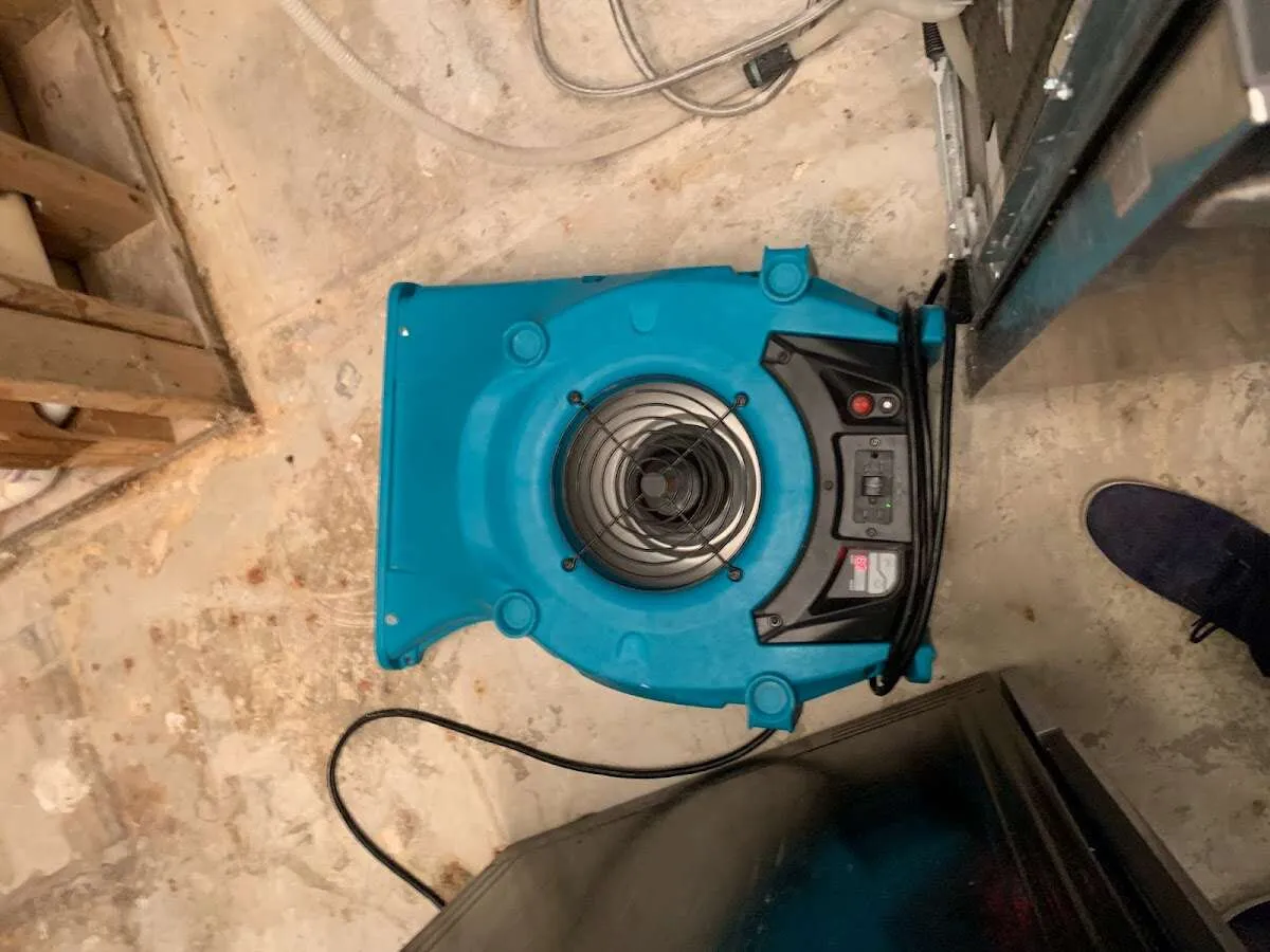 Air mover drying equipment for Mold Remediation & Removal in Lake Forest